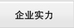 企業實力